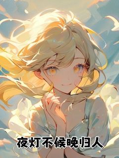 好看的夜灯不候晚归人小说-夜灯不候晚归人最新章节阅读