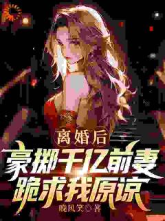 苏辰，这份离婚协议看完了吗(晚风笑)最佳创作小说全文在线阅读