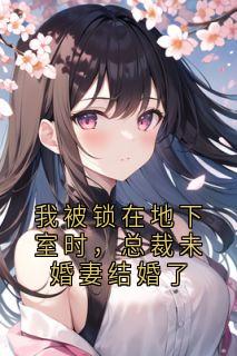 我被锁在地下室时，总裁未婚妻结婚了杨宗帆陆挽舟孟子瑶小说全文章节阅读