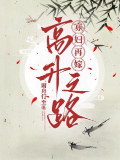 寡妇再嫁高升之路完整版免费阅读，秦珍娘裴典吏小说大结局在哪看