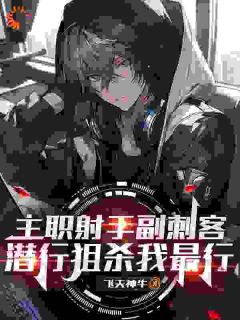 主角是陆沉的小说叫什么主职射手副刺客，潜行狙杀我最行免费全文阅读