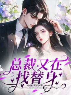 主角是苏婉傅淮川的小说总裁又在找替身最完整版热门连载