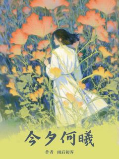 今夕何曦最新章节免费阅读by雨后初霁无广告小说