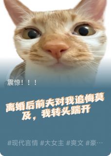 陆安小叶沈渊离婚后前夫对我追悔莫及全章节免费阅读