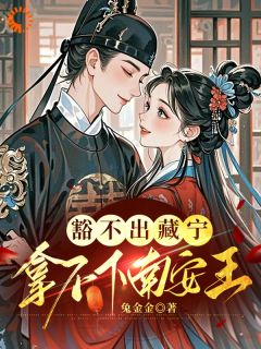 豁不出藏宁，拿不下南安王在线全文阅读-主人公姜藏宁凌渊小说