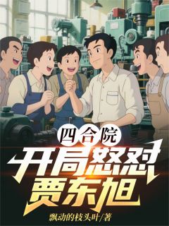 四合院:开局怒怼贾东旭小说(完整版)-陈明易中海贾东旭章节阅读