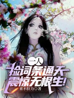 一人：捡词条通天，震惊无根生！完整版免费阅读，苏晨张楚岚小说大结局在哪看
