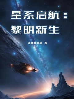 星系启航:黎明新生(楚星辰林沐雨)全文完整版阅读