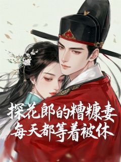 探花郎的糟糠妻每天都等着被休柳如意季晏礼无广告在线阅读