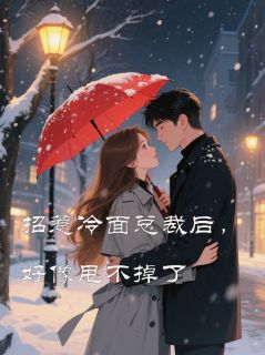 招惹冷面总裁后,好像甩不掉了在线全文阅读-主人公陆沉舟顾星晚小说