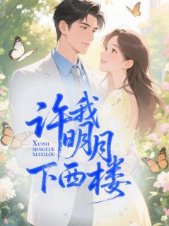 许我明月下西楼无弹窗在线阅读