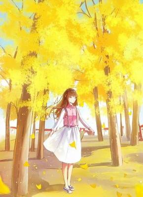 宋佳音沈清风全本章节在线阅读大结局