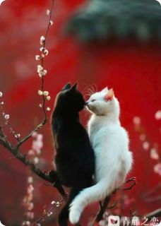 书荒必备顾明远姜雯小说