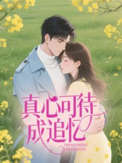 真心可待成追忆(全本)时予安谢昭临完整章节列表免费阅读