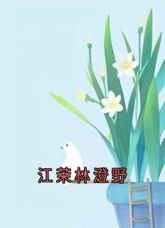 (全本)江茉林澄野主角江招江茉全文目录畅读