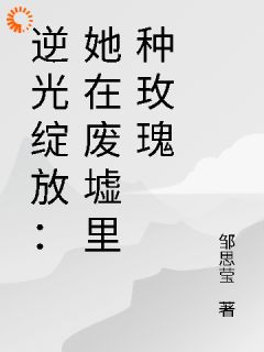 逆光绽放:她在废墟里种玫瑰小说最新章节-主角林深陆沉全文免费阅读