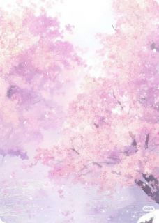 好看的夫君他娶平妻后，我飞升了小说，主角裴行姜淼最新章节阅读-欧迈阅读网