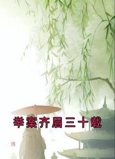 强烈推荐举案齐眉三十载谢长淮林晚意在线阅读-欧迈阅读网