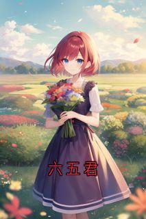 (好书推荐)六五君小说最新章节小说全文阅读