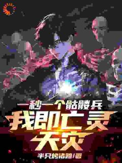 抖音热推小说一秒一个骷髅兵，我即亡灵天灾！全文在线阅读