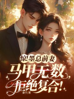小说推荐惊!墨总前妻马甲无数,拒绝复合!完结版全章节阅读-欧迈阅读网