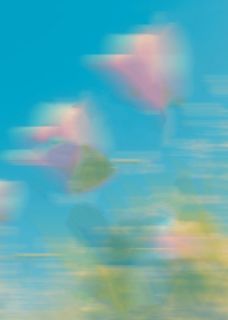 抖音爆款小说年夜饭上,守寡嫂子用脚蹭我老公何建良刘曼青免费txt全文阅读-欧迈阅读网