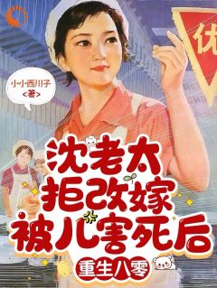 沈老太拒改嫁被儿害死后重生八零小说全集(沈淑珍白雪)无弹窗广告阅读