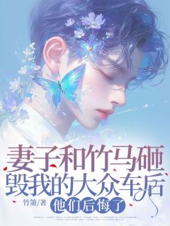 许斯年沈星希小说结局