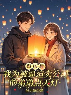 优质新书归国后，我为被逼迫卖公司的弟弟点天灯最新章节小说全文阅读-欧迈阅读网