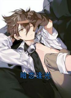 爆款小说由作者夏未央所创作的暗恋逢光在线阅读-欧迈阅读网