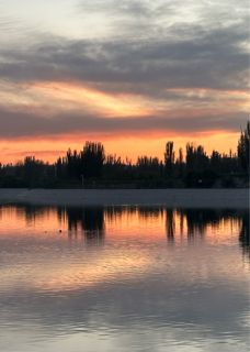 渣男误穿诡异世界,求我救他小说陆裎宁芙免费阅读