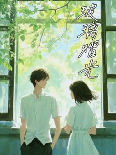 玻璃褶光免费阅读全文,主角宋清瑜林叙小说