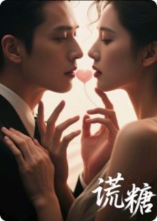 优质新书谎糖最新章节小说全文阅读