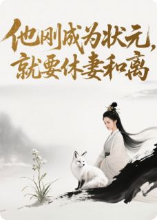 苏晚陆明远赵婉儿小说大结局在哪看-他刚成为状元，却要休妻和离完整版免费阅读