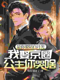 精彩小说她甩的替身竟是全球首富叶尘顾向晴全章节在线阅读