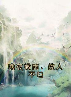 晚夜微雨，故人不归(神秘小说家小说)小说最新章节