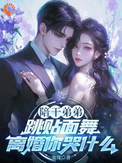 好书推荐陪干弟弟跳贴面舞,离婚你哭什么陆辰苏雨霏全文在线阅读