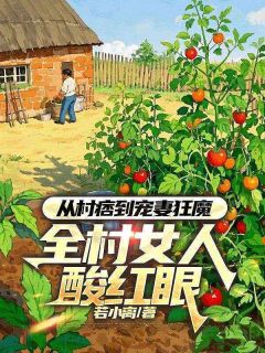 江辰沈如玉是哪部小说的主角 江辰沈如玉全文阅读-欧迈阅读网