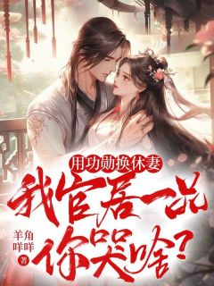 火爆用功勋换休妻，我官居一品你哭啥？小说，主角是姜云舒沈清安在线阅读全文无删减