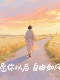 霍砚辞林晚棠江沉舟是哪部小说的主角 愿你从此,自由如风全文无弹窗