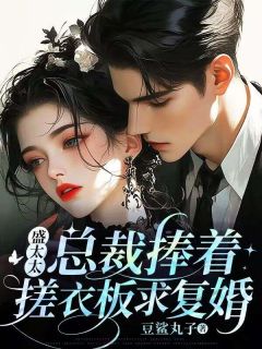 盛太太,总裁捧着搓衣板求复婚桑夏盛宴行全章节目录免费阅读