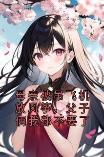 作者佚名写的母亲被吊飞机放风筝,父子俩我都不要了小说大结局全章节阅读