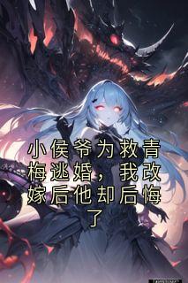 小侯爷为救青梅逃婚，我改嫁后他却后悔了免费阅读全文，主角白洛燕沈嫣墨明川小说完整版