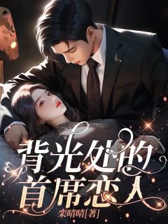 背光处的首席恋人(夏瑜易宁)全文章节在线阅读