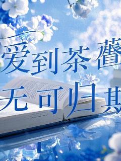 主人公乔念安林烬小说爱到荼蘼,无可归期在线全文阅读