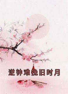 谢辰林素雅沈廷川全文最新章节正版小说免费阅读