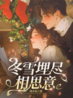冬雪埋尽相思意苏晚棠傅沉野全章节在线阅读-欧迈阅读网