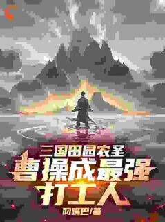 三国田园农圣:曹操成最强打工人小说林北曹操免费阅读