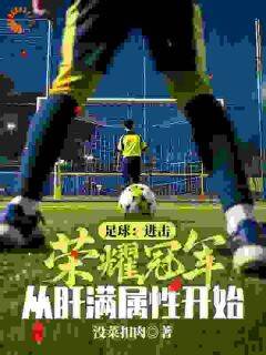 爆款小说足球:进击荣耀冠军,从肝满属性开始-主角林枫杨浩在线阅读