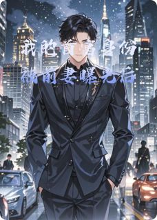 完整版我的首富身份被前妻曝光后叶枫苏沐雨小说免费在线阅读